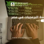 كليات هندسة البرمجيات في مصر