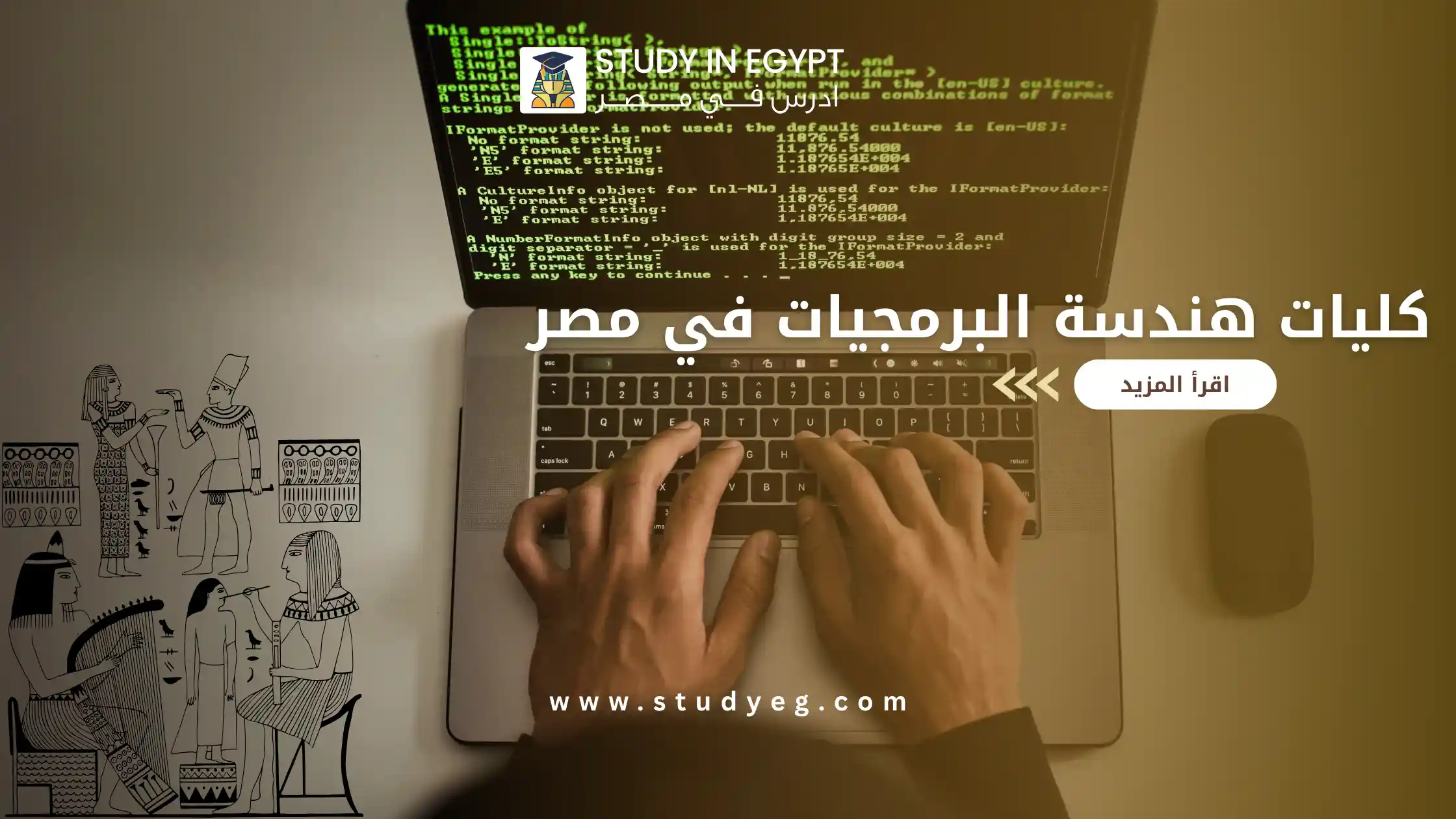 كليات هندسة البرمجيات في مصر