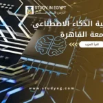 مصاريف كلية الذكاء الاصطناعي جامعة القاهرة