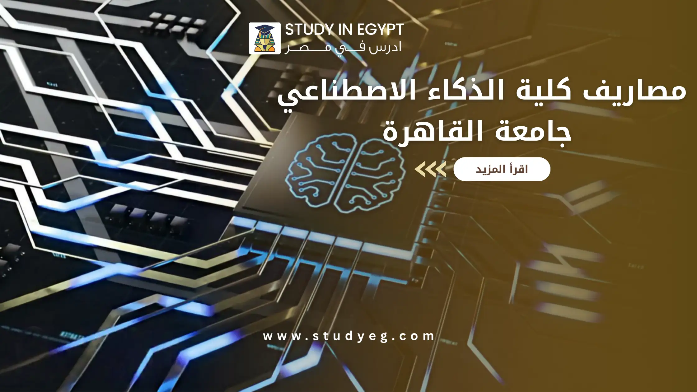 مصاريف كلية الذكاء الاصطناعي جامعة القاهرة