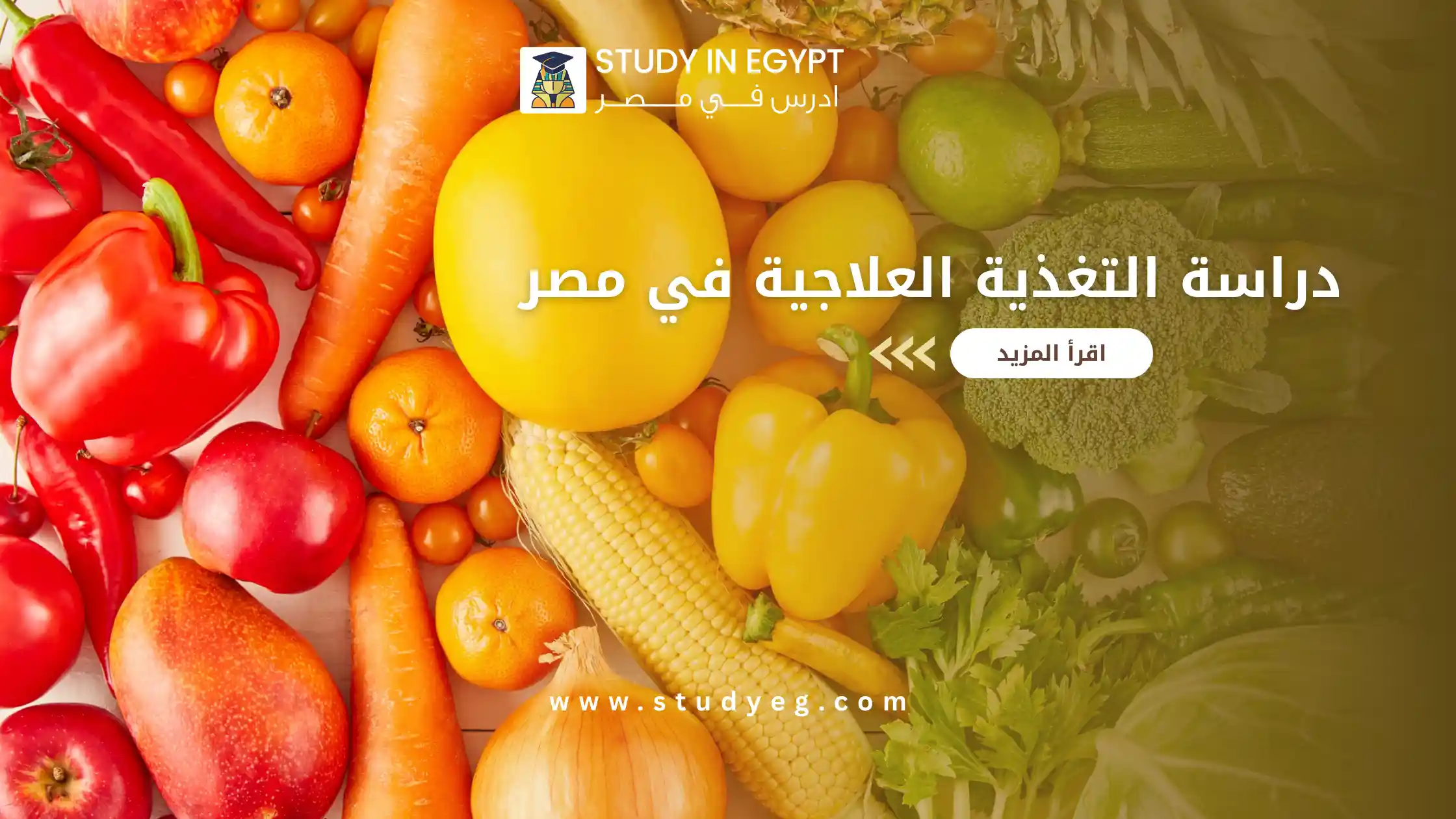 دراسة التغذية العلاجية في مصر