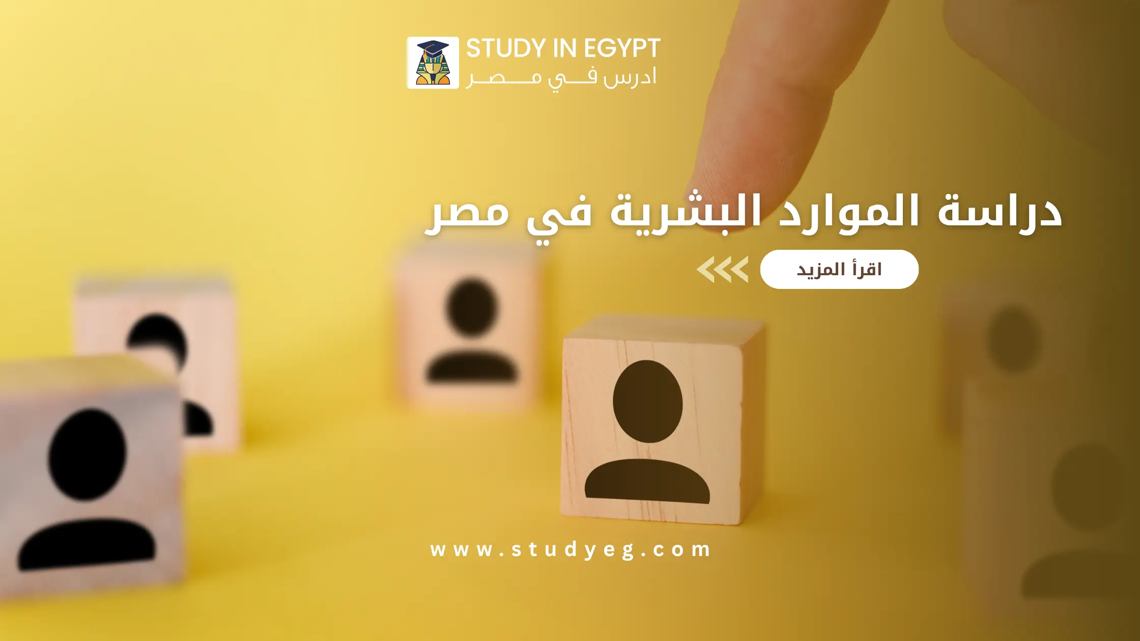 دراسة الموارد البشرية في مصر